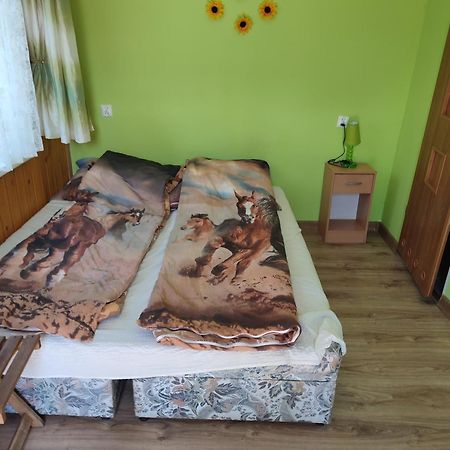 Iza-Pokoje Do Wynajecia Wisełka エクステリア 写真