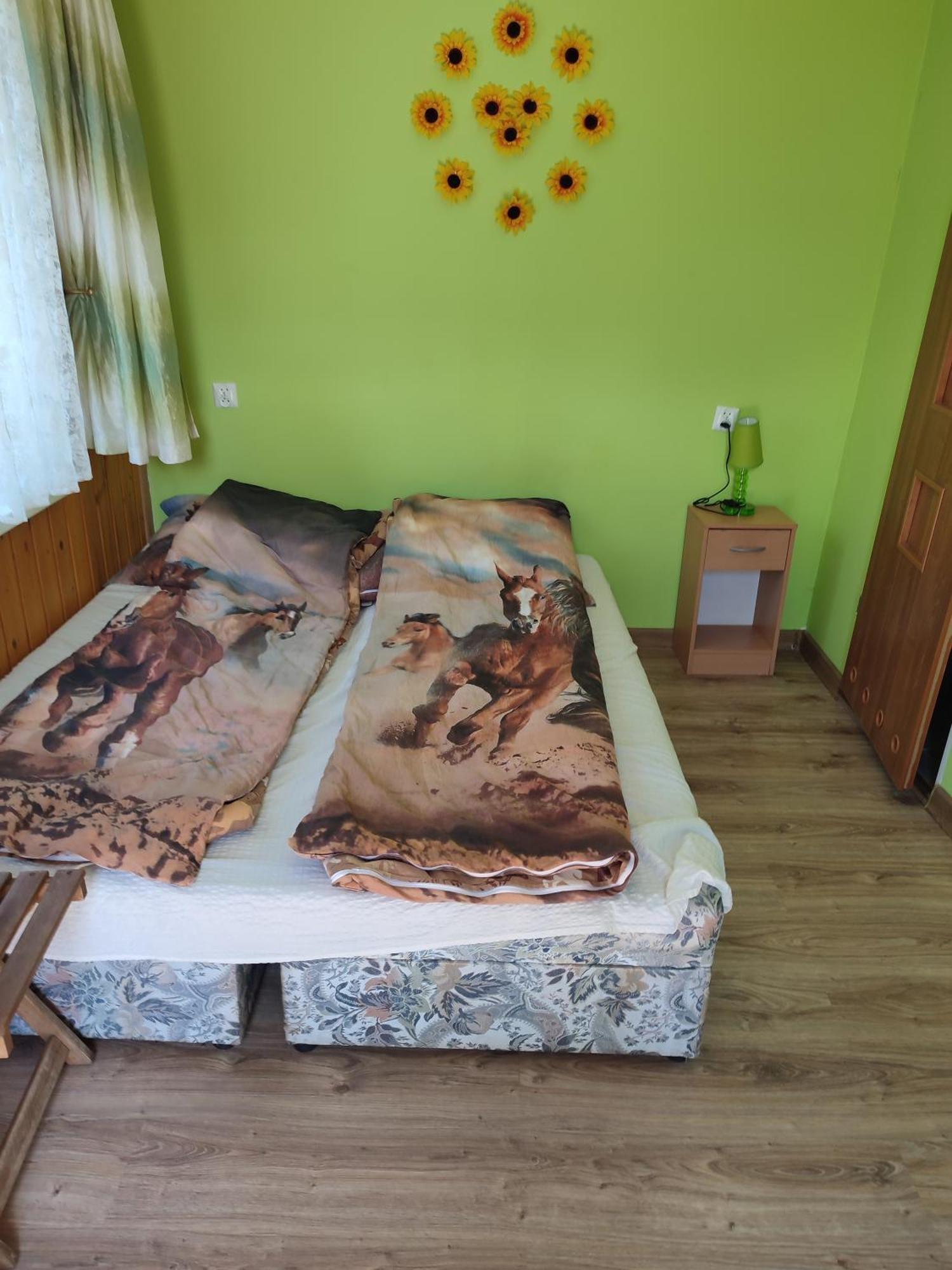 Iza-Pokoje Do Wynajecia Wisełka エクステリア 写真